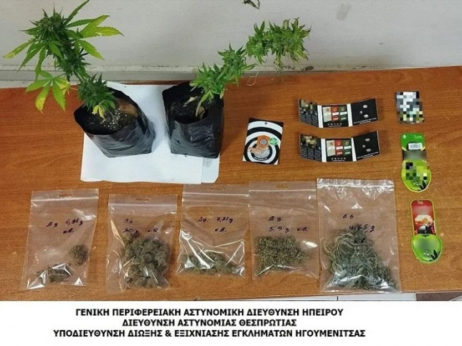Καλλιεργούσε κάνναβη