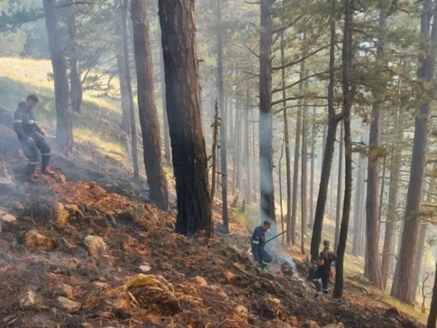 Τραπεζίτσα Κόνιτσας: Γιγαντιαία μάχη με τις φλόγες